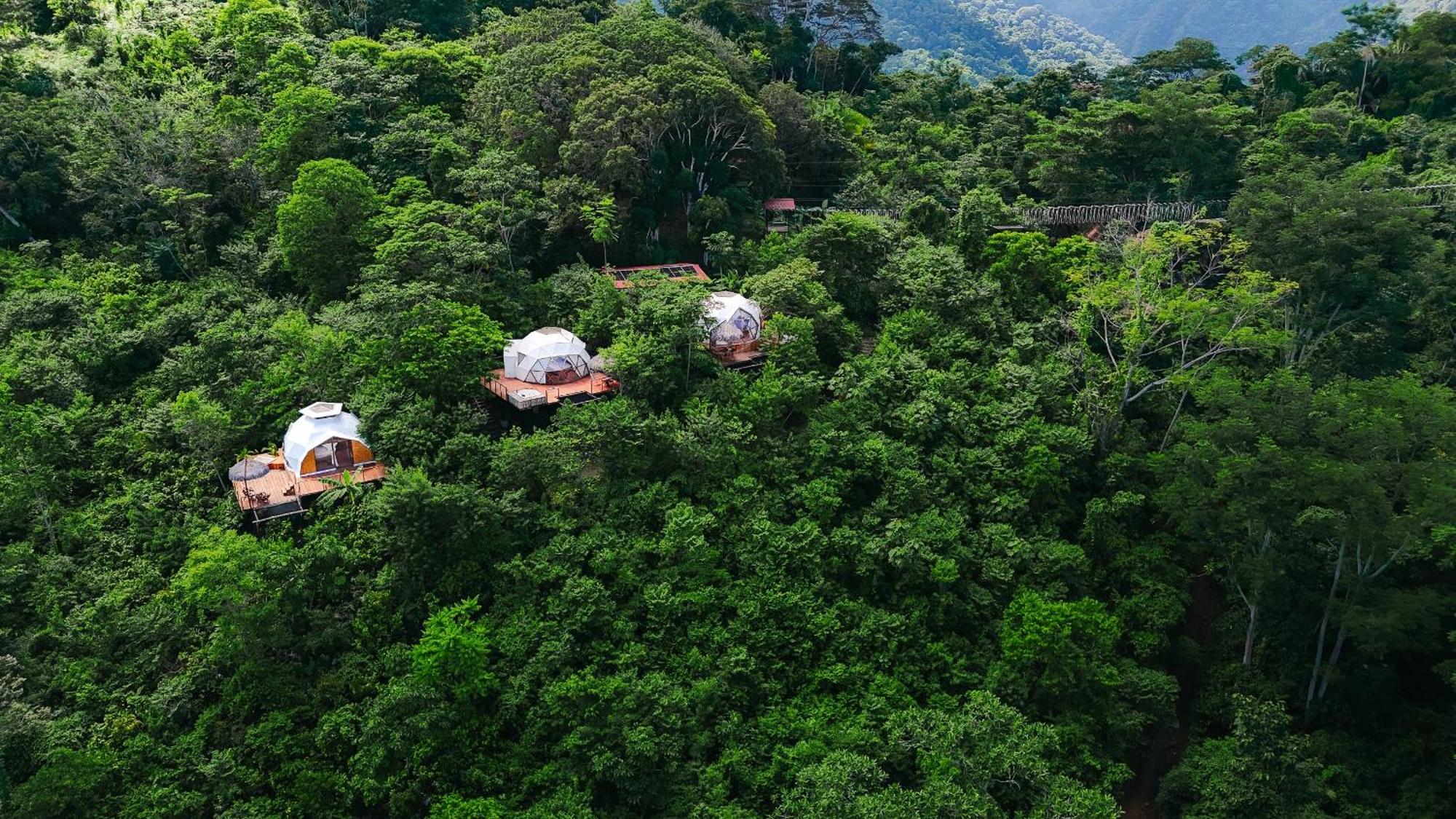 Los Glampings De Taytamaki Tarapoto Eksteriør billede